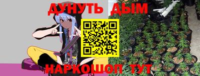 гашик Новодвинск