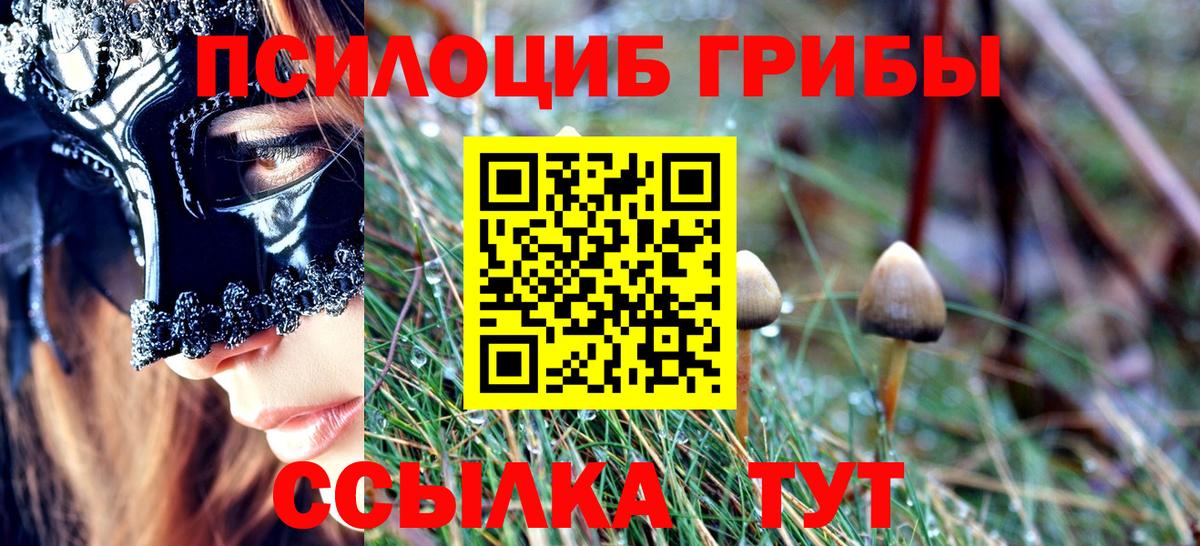 как найти   Псилоцибиновые грибы Cubensis  Чехов  Вход с VPN  Псилоцибиновые грибы Cubensis 